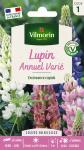 Fleurs - Lupin Annuel Varié - face recto